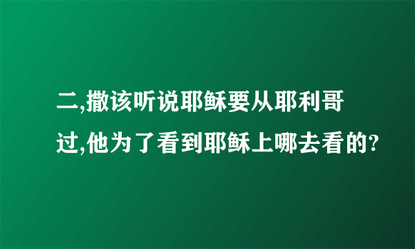 二,撒该听说耶稣要从耶利哥过,他为了看到耶稣上哪去看的?