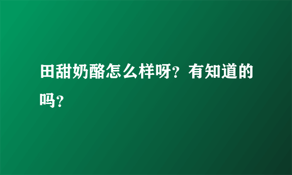 田甜奶酪怎么样呀？有知道的吗？