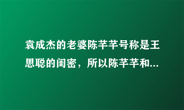 袁成杰的老婆陈芊芊号称是王思聪的闺密，所以陈芊芊和王思聪是怎么认识的？