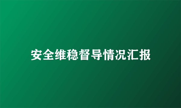 安全维稳督导情况汇报