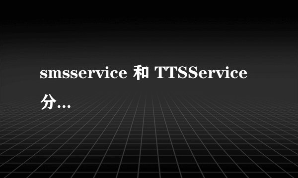 smsservice 和 TTSService 分别是啥意思？