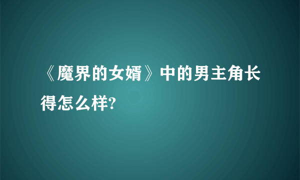 《魔界的女婿》中的男主角长得怎么样?