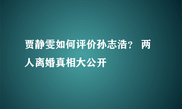 贾静雯如何评价孙志浩？ 两人离婚真相大公开