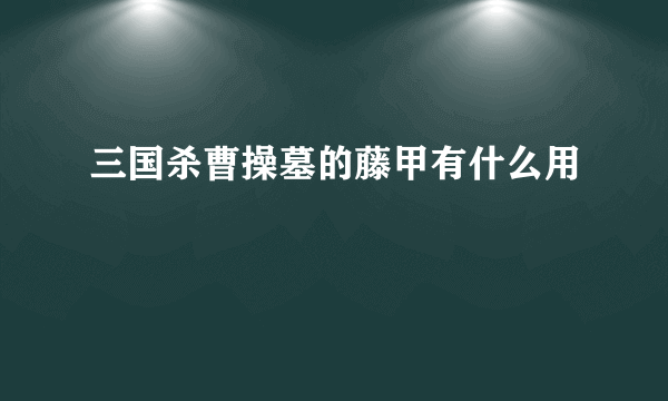 三国杀曹操墓的藤甲有什么用