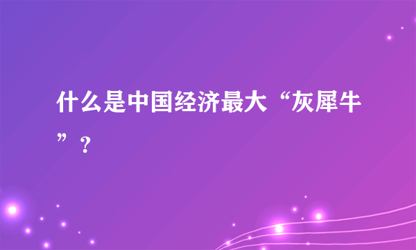 什么是中国经济最大“灰犀牛”？