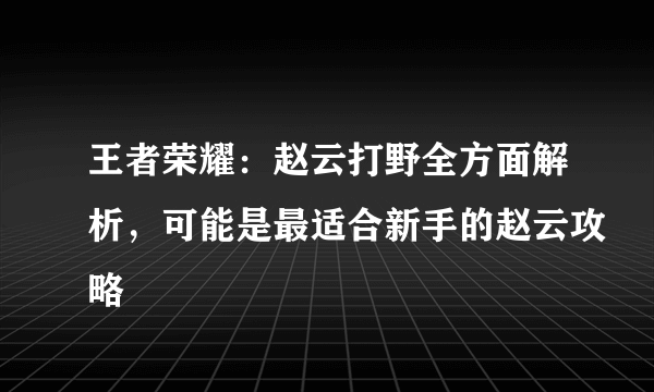 王者荣耀：赵云打野全方面解析，可能是最适合新手的赵云攻略