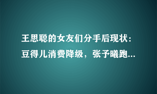 王思聪的女友们分手后现状：豆得儿消费降级，张予曦跑龙套，雪梨过得如何？