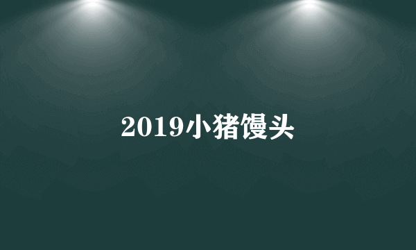 2019小猪馒头