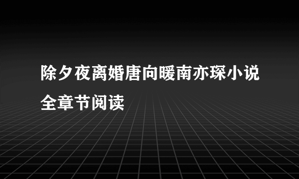 除夕夜离婚唐向暖南亦琛小说全章节阅读