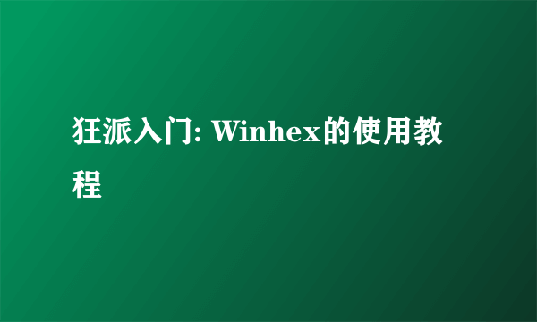 狂派入门: Winhex的使用教程