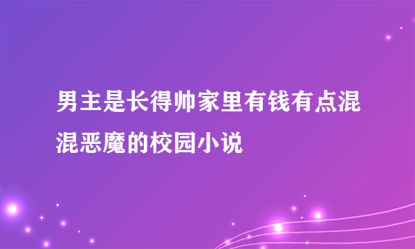 男主是长得帅家里有钱有点混混恶魔的校园小说