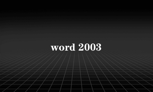 word 2003