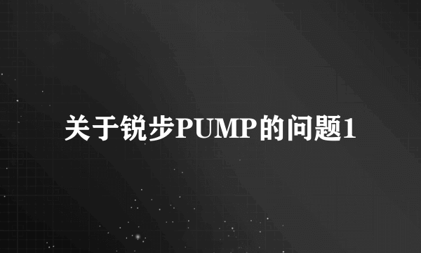 关于锐步PUMP的问题1