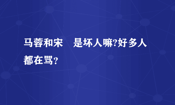 马蓉和宋喆是坏人嘛?好多人都在骂？