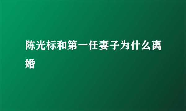 陈光标和第一任妻子为什么离婚