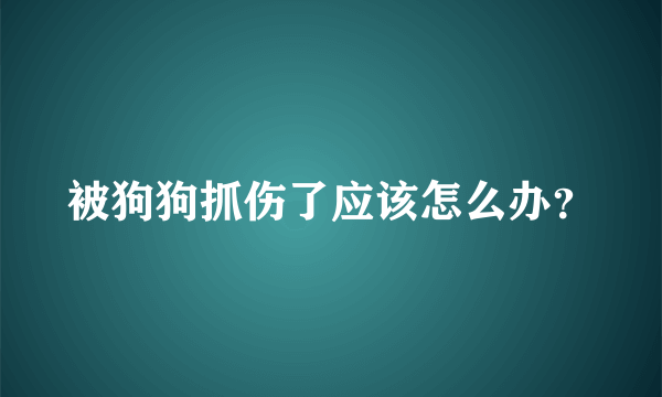 被狗狗抓伤了应该怎么办？