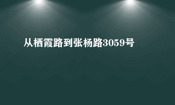 从栖霞路到张杨路3059号