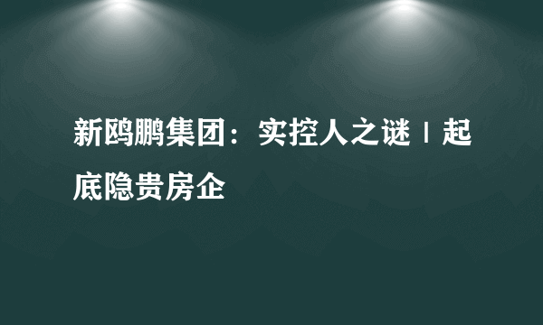 新鸥鹏集团：实控人之谜｜起底隐贵房企