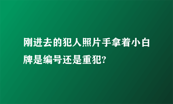 刚进去的犯人照片手拿着小白牌是编号还是重犯?