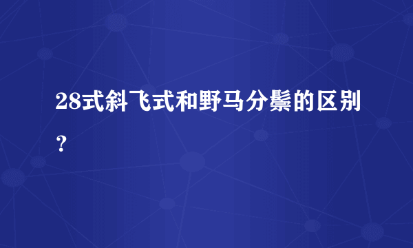 28式斜飞式和野马分鬃的区别？