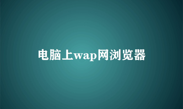 电脑上wap网浏览器