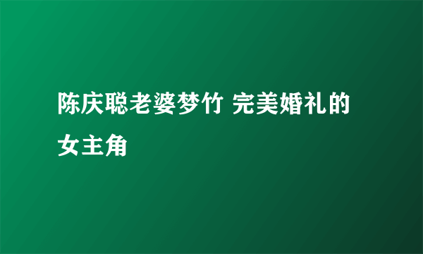 陈庆聪老婆梦竹 完美婚礼的女主角