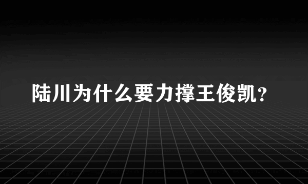 陆川为什么要力撑王俊凯？