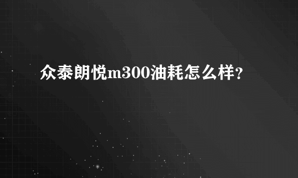 众泰朗悦m300油耗怎么样？