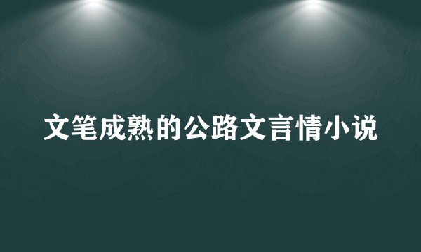 文笔成熟的公路文言情小说