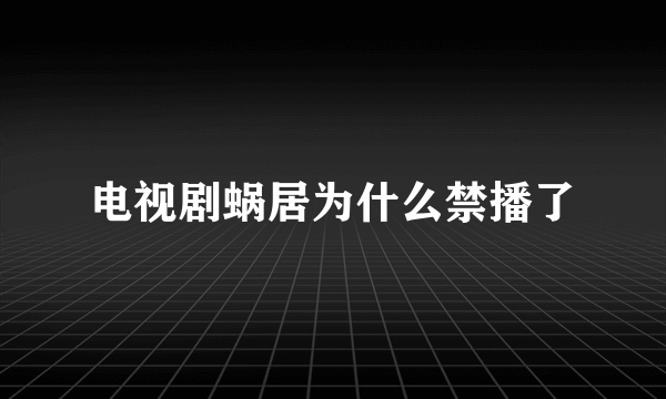 电视剧蜗居为什么禁播了