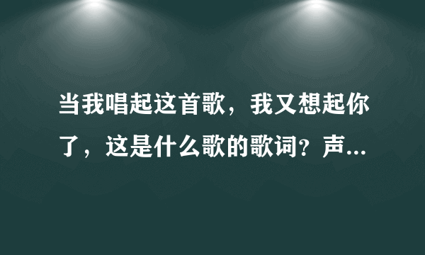 当我唱起这首歌，我又想起你了，这是什么歌的歌词？声音貌似像小贱