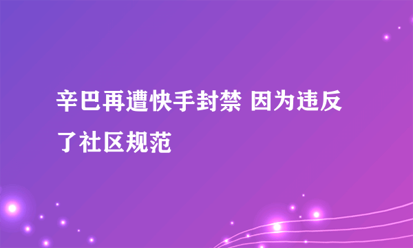 辛巴再遭快手封禁 因为违反了社区规范