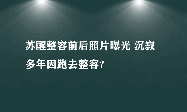 苏醒整容前后照片曝光 沉寂多年因跑去整容?