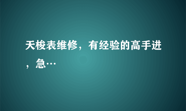 天梭表维修，有经验的高手进，急…