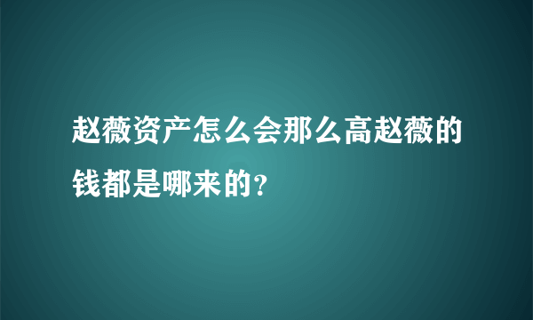 赵薇资产怎么会那么高赵薇的钱都是哪来的？