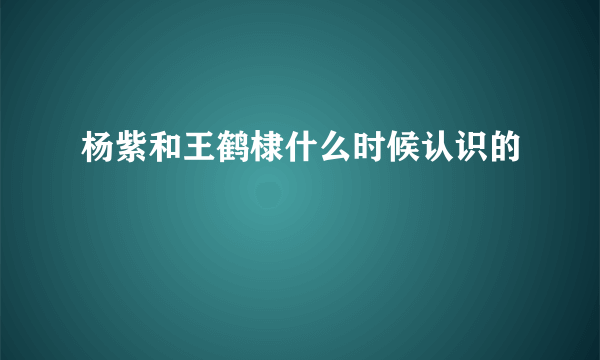 杨紫和王鹤棣什么时候认识的