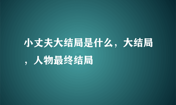 小丈夫大结局是什么，大结局，人物最终结局