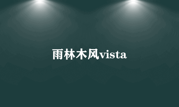 雨林木风vista