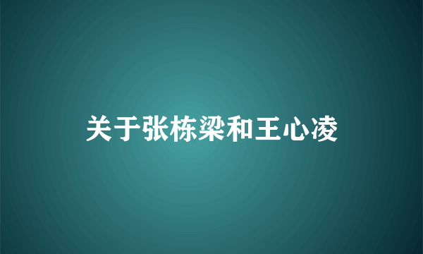 关于张栋梁和王心凌