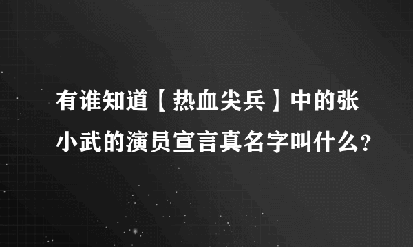 有谁知道【热血尖兵】中的张小武的演员宣言真名字叫什么？