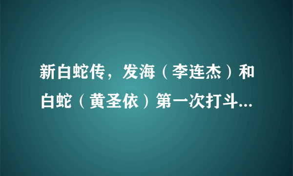 新白蛇传，发海（李连杰）和白蛇（黄圣依）第一次打斗完时，发海和白蛇的对话？