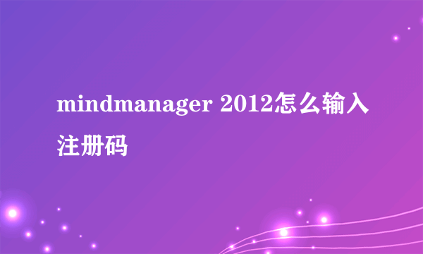 mindmanager 2012怎么输入注册码