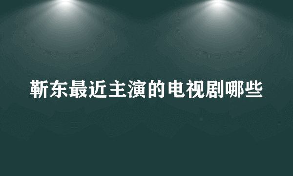 靳东最近主演的电视剧哪些