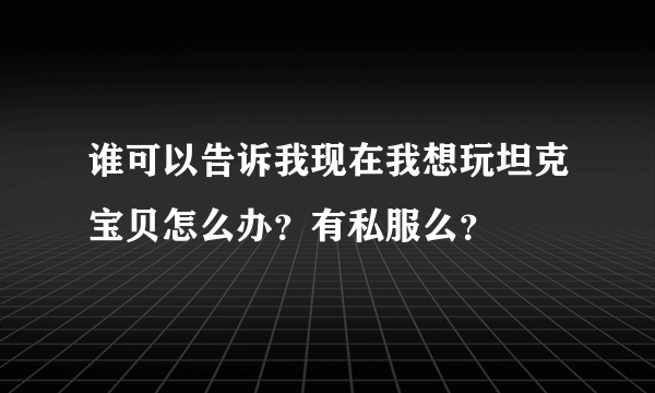 谁可以告诉我现在我想玩坦克宝贝怎么办？有私服么？