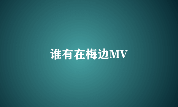 谁有在梅边MV