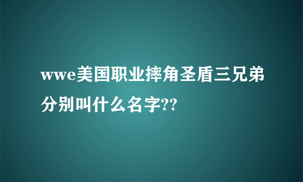 wwe美国职业摔角圣盾三兄弟分别叫什么名字??