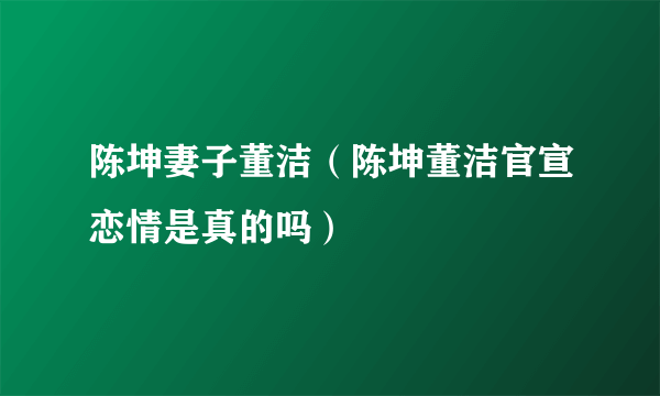 陈坤妻子董洁（陈坤董洁官宣恋情是真的吗）