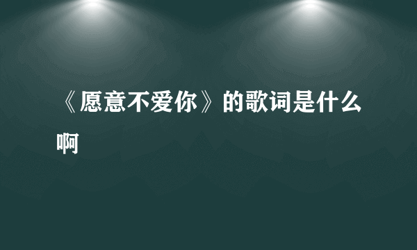 《愿意不爱你》的歌词是什么啊