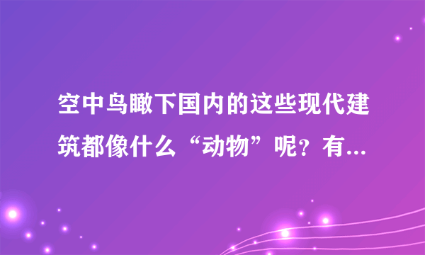 空中鸟瞰下国内的这些现代建筑都像什么“动物”呢？有意思吧！