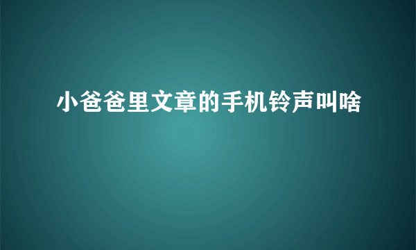 小爸爸里文章的手机铃声叫啥